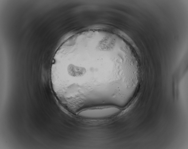 X0000086781425200705041519