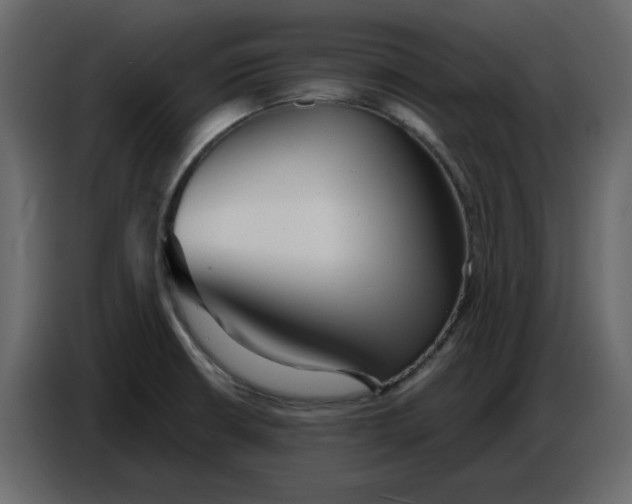 X0000086781426200705041519