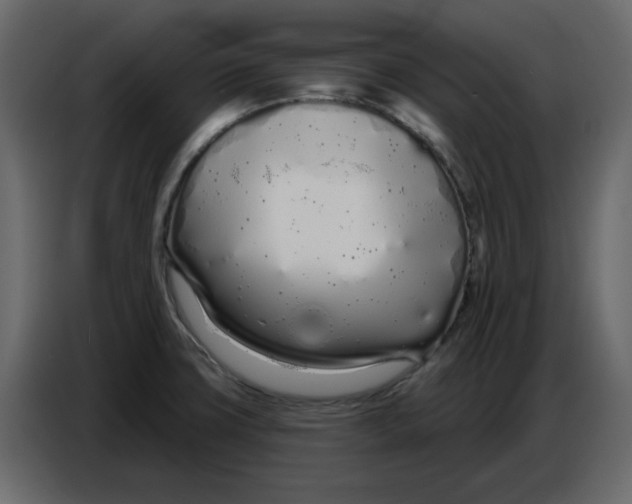 X0000086781427200705041519