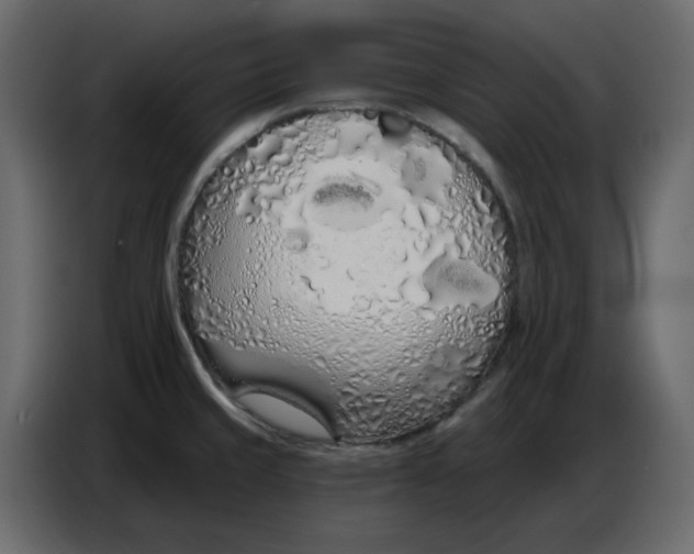 X0000086781429200705041519