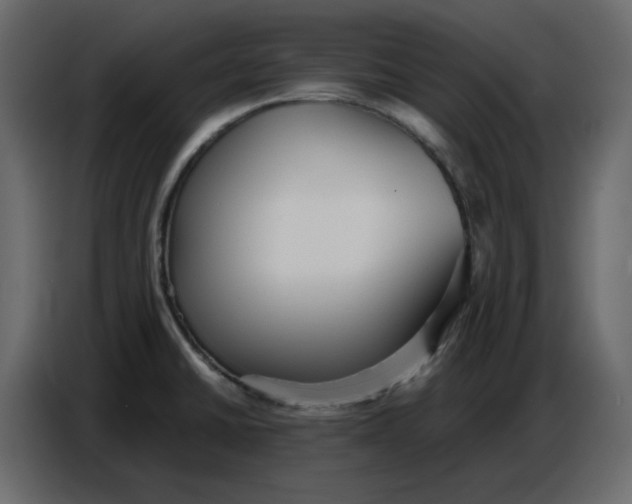 X0000086781430200705041519