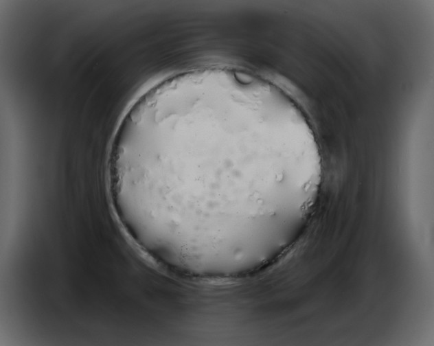 X0000086781431200705041519