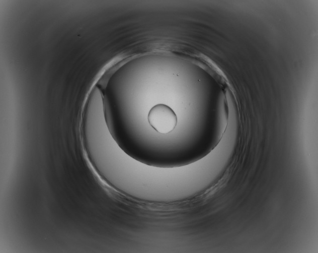 X0000086781434200705041519