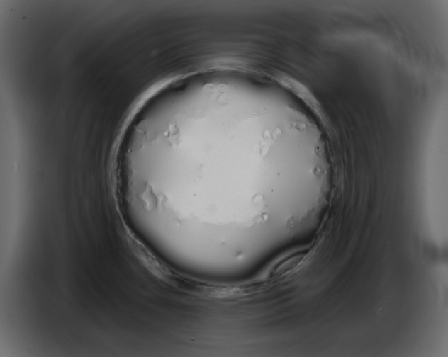 X0000086781435200705041519