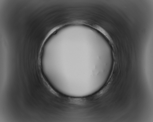 X0000086781436200705041519