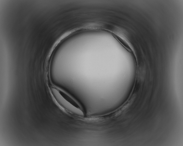 X0000086781437200705041519