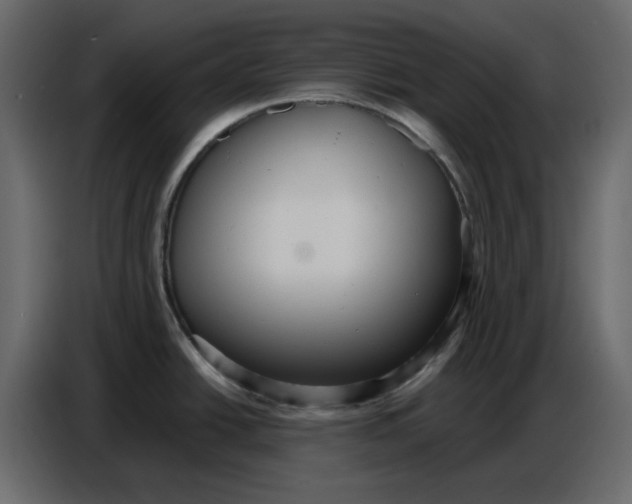 X0000086781438200705041519