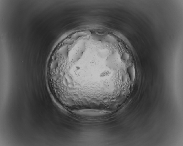 X0000086781439200705041519