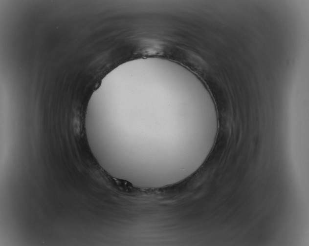 X0000086781442200705041519