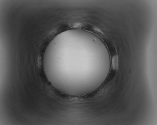 X0000086781443200705041519