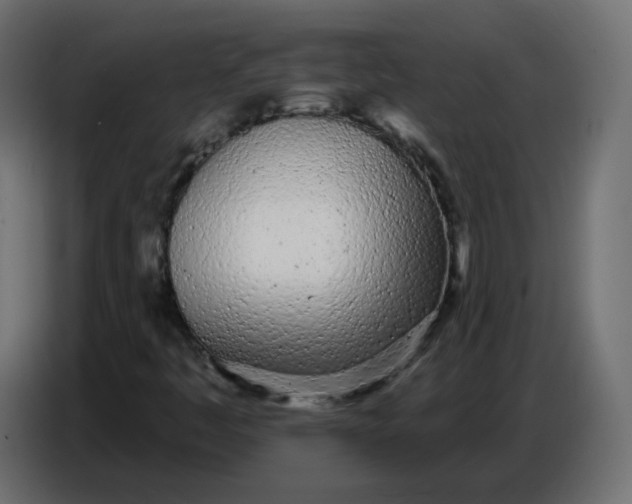 X0000086781445200705041519