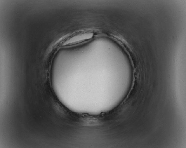 X0000086781448200705041518