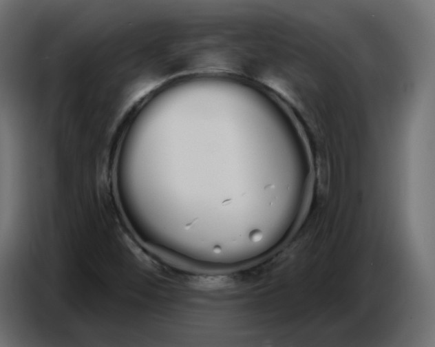 X0000086781452200705041518