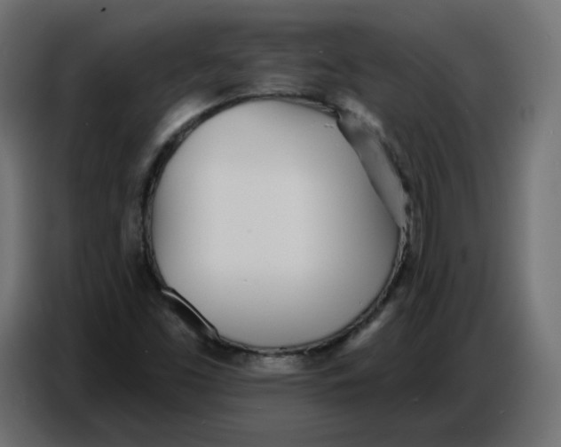 X0000086781453200705041518