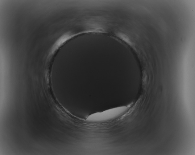 X0000086781455200705041518