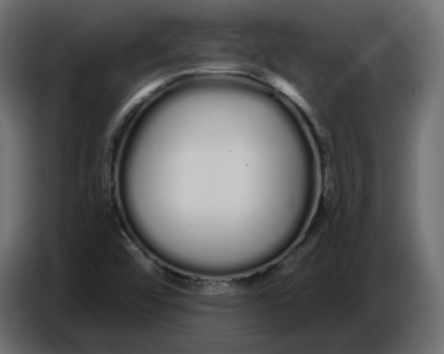 X0000086781456200705041518