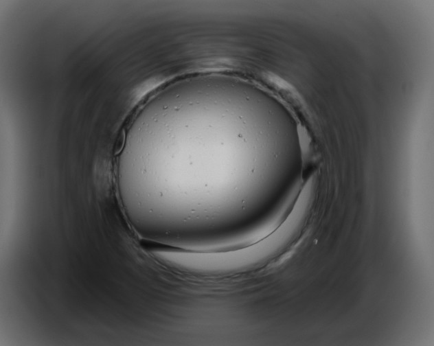 X0000086781457200705041518