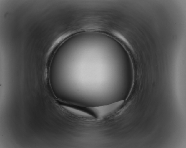 X0000086781461200705041518