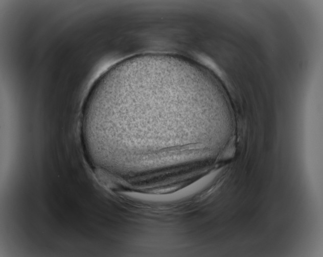 X0000086781463200705041518