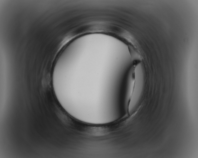 X0000086781465200705041518