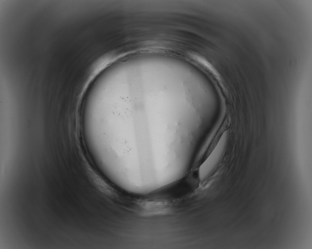 X0000086781467200705041518