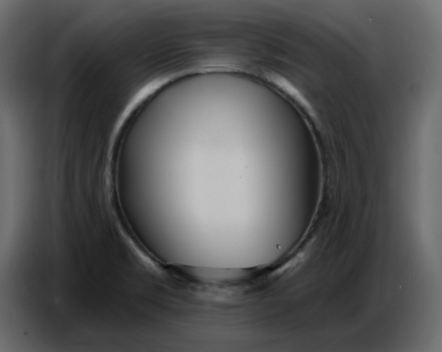 X0000086781469200705041518