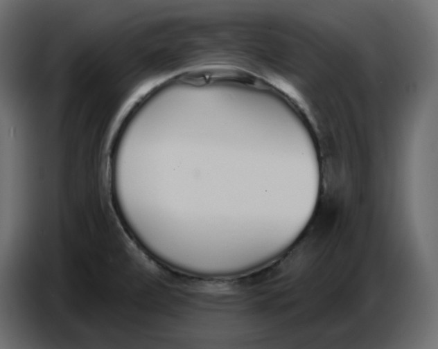 X0000086781472200705041518