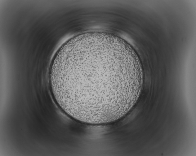 X0000086781474200705041518