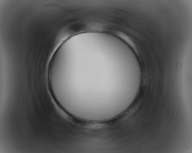 X0000086781475200705041518