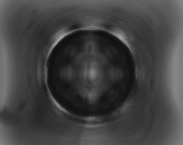 X0000086781476200705041518