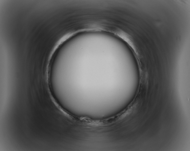 X0000086781477200705041518