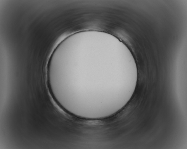 X0000086781479200705041518