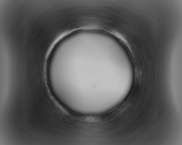 X0000086781480200705041518