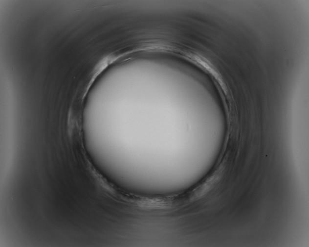 X0000086781481200705041518