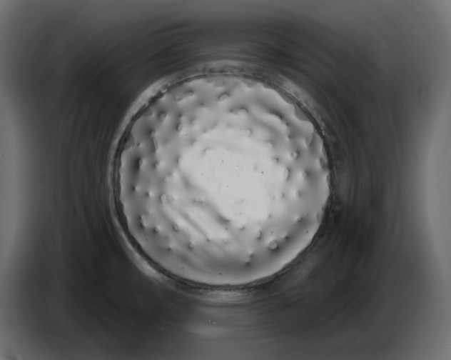 X0000086781482200705041518