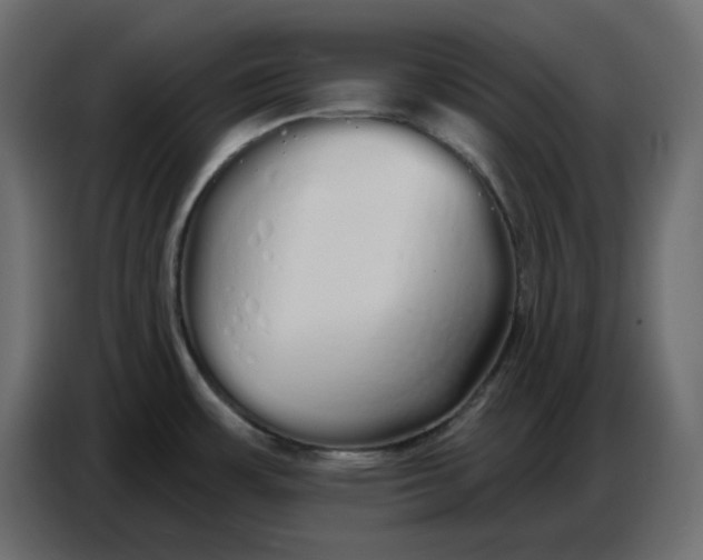 X0000086781483200705041518