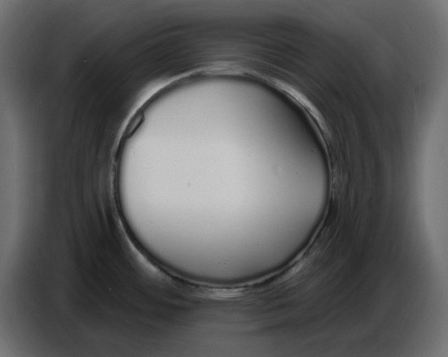 X0000086781484200705041518