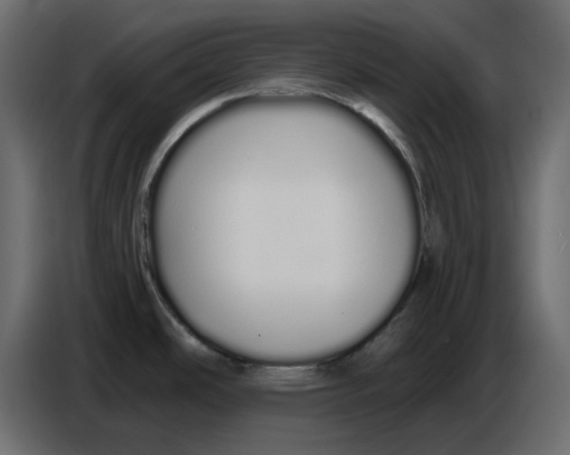 X0000086781486200705041518