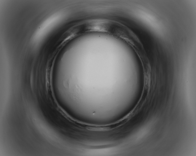 X0000086781487200705041518