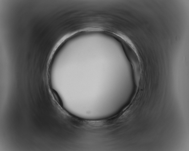 X0000086781488200705041518