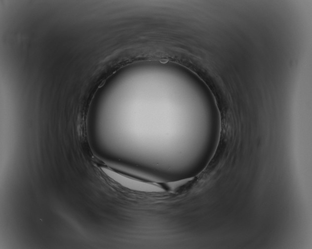 X0000086781490200705041517