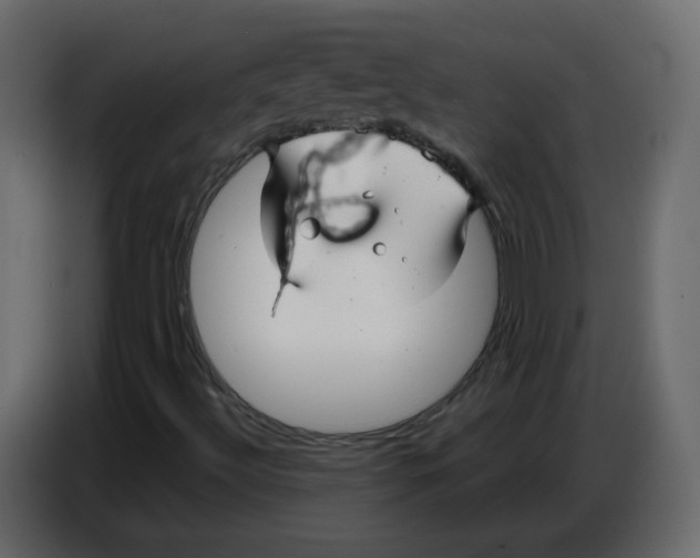 X0000086781492200705041517