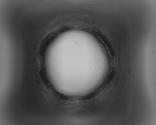 X0000086781493200705041517