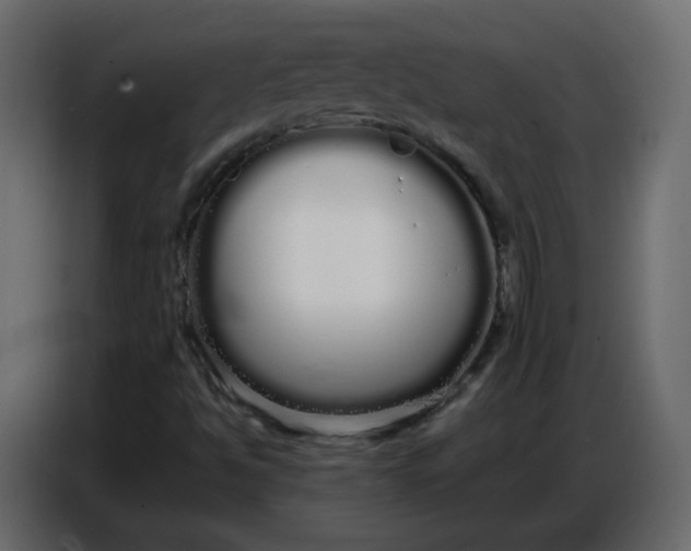 X0000086781494200705041517