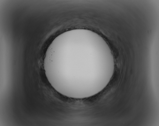 X0000086781495200705041517