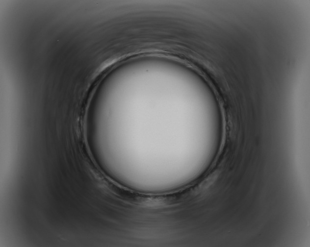 X0000086781497200705041517