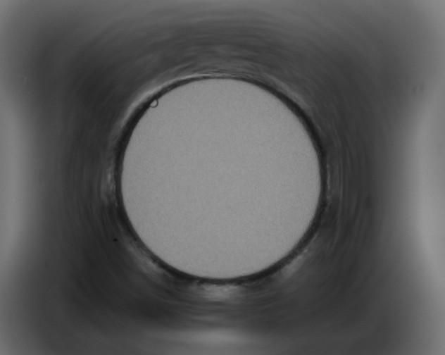 X0000086781498200705041517