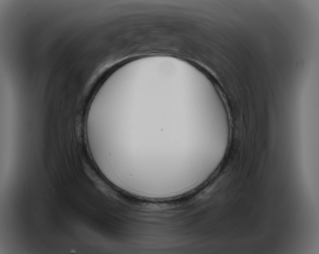 X0000086781499200705041517