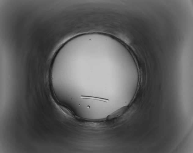 X0000086781500200705041517