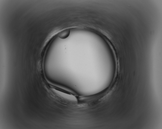 X0000086781501200705041517